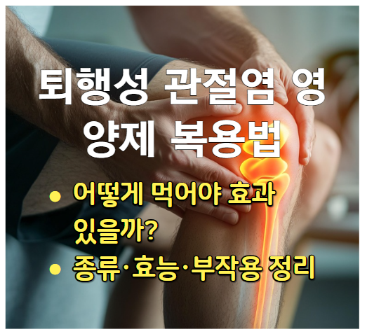 퇴행성 관절염 영양제 복용법, 어떻게 먹어야 효과 있을까