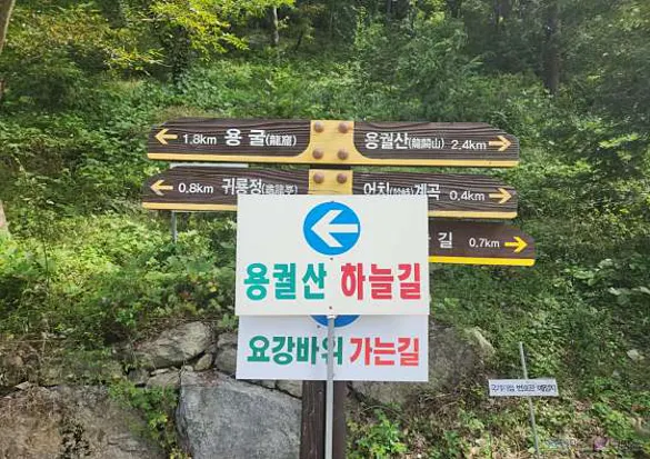 용궐산