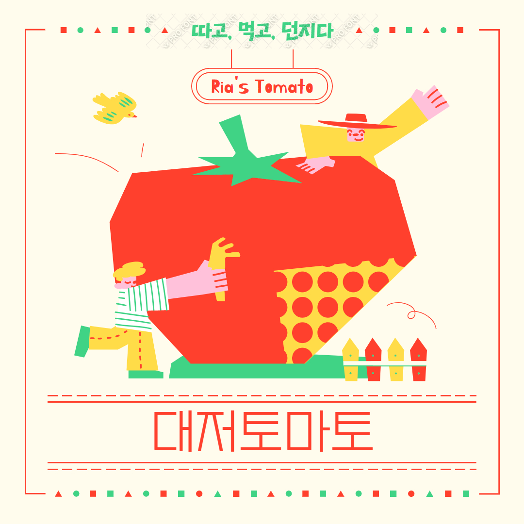 대저 토마토 + 짭짤이 토마토 효능 + 보관 방법 완전 정리