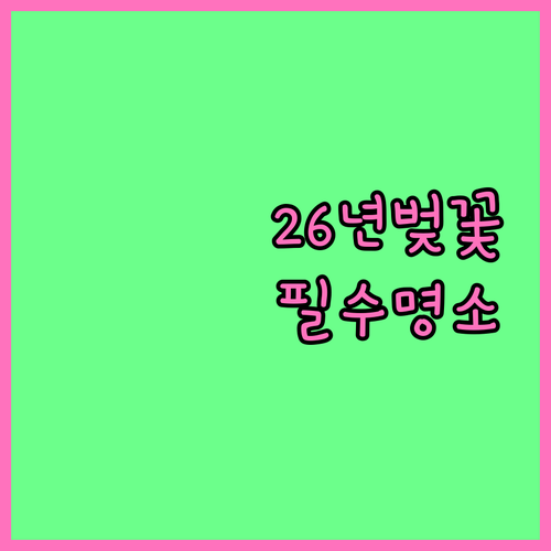 2026년 지역별 벚꽃 만개 시기와 ..
