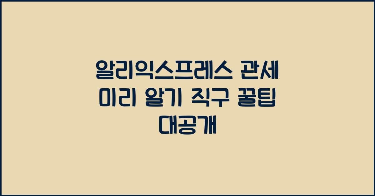 알리익스프레스 관세