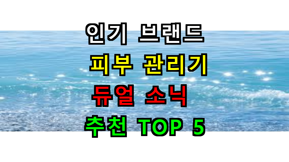 듀얼소닉 맥시멈 피부 관리기 추천 TOP 5