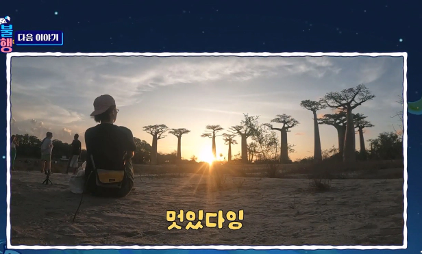 바오밥나무 지구나불 방문 소식 및 바오밥나무 포토 이야기 정리