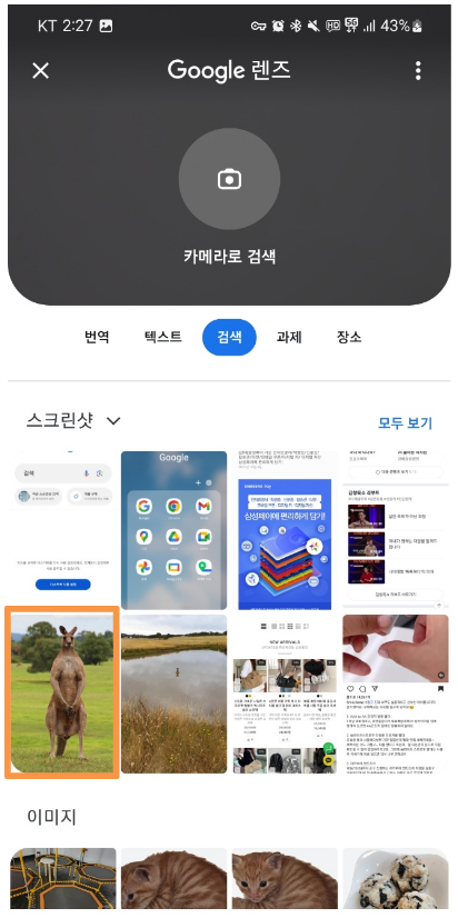 구글 이미지 검색 3