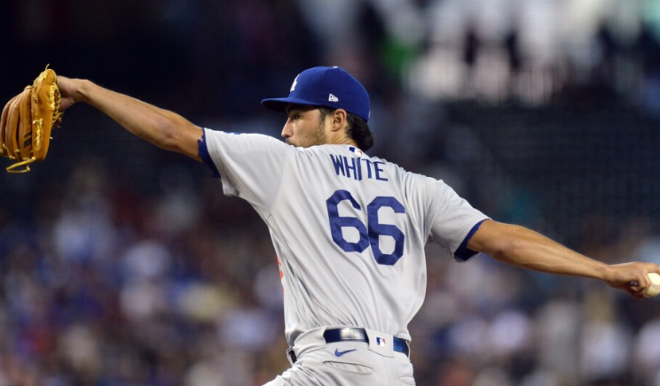 미치 화이트 박찬호