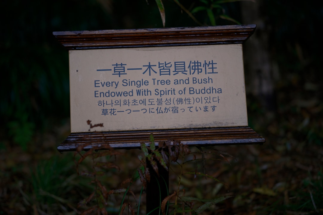 효능을 영어로 번역하면 effect입니다.