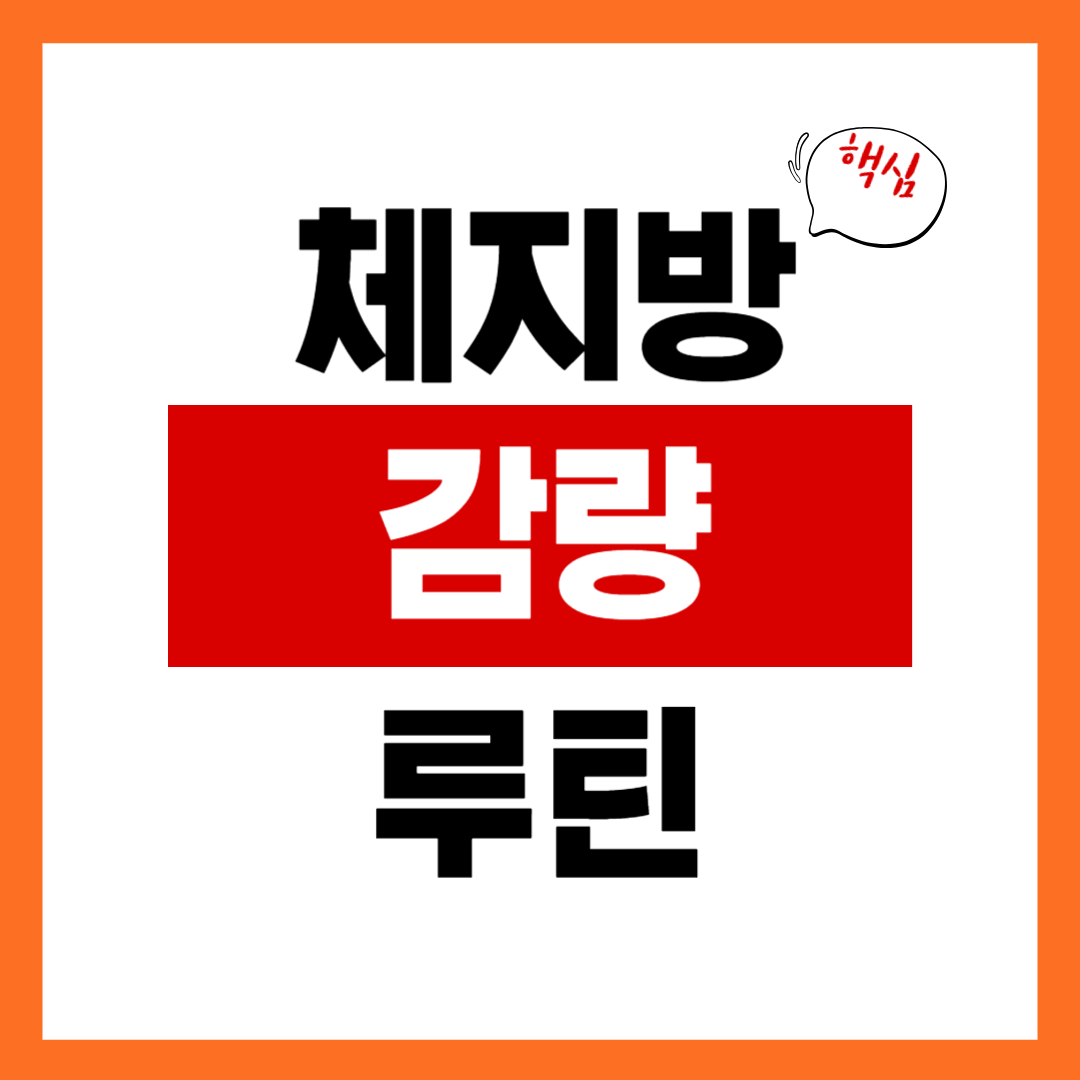 체지방 감량 성공한 사람들이 꼭 하는 루틴을 따라해 보세요