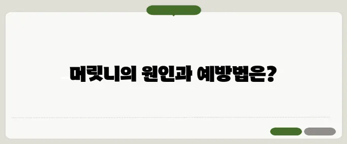 머릿니 생기는 이유와 예방법