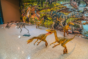 태백 고생대자연사박물관