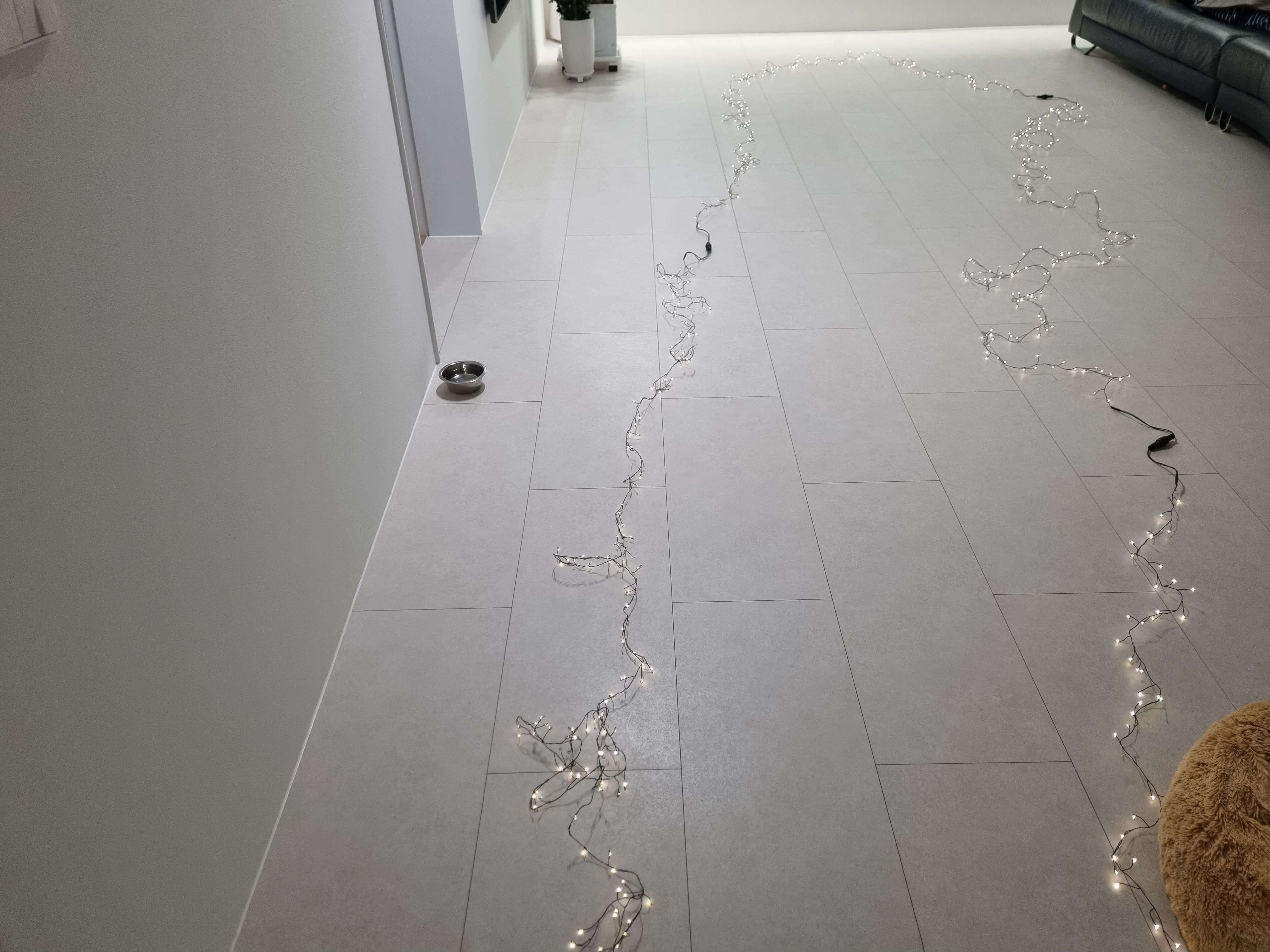 크리스마스 지네 전구