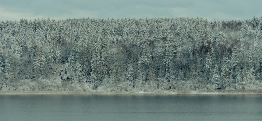 갑자일주 X 병인일주 궁합 완벽 정리