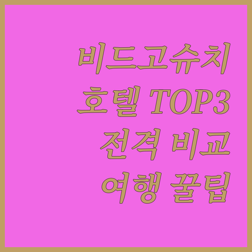비드고슈치 인기 호텔 TOP 3 전격..