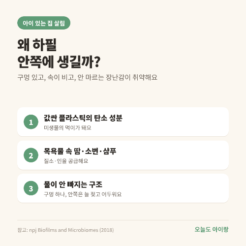 목욕 장난감 속 곰팡이, 물 빼는 것만으로 될까? 연구로 본 '구멍 장난감'의 속사정