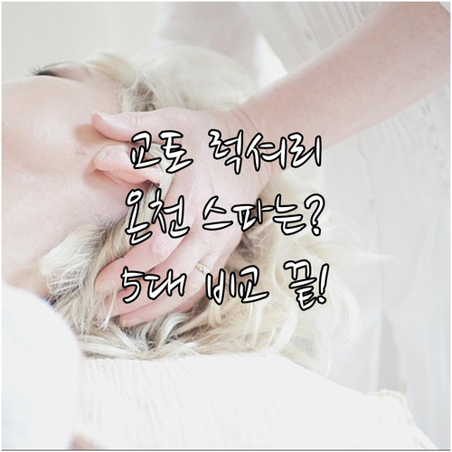 교토 럭셔리 호텔 5대 거점 위치 온..