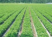 농민수당 신청자격 확인 및 지급 신청