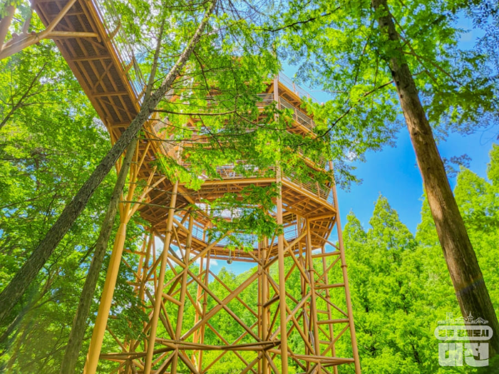 장태산 자연휴양림 야영장