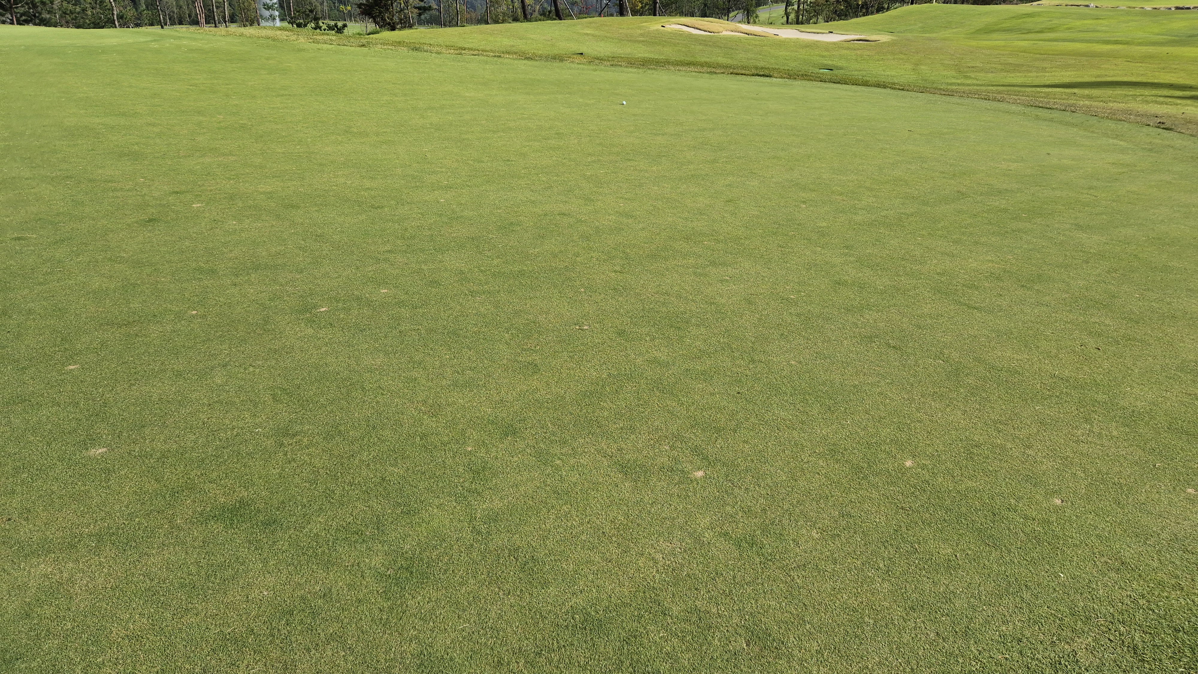 오로라cc 그린 관리 상태