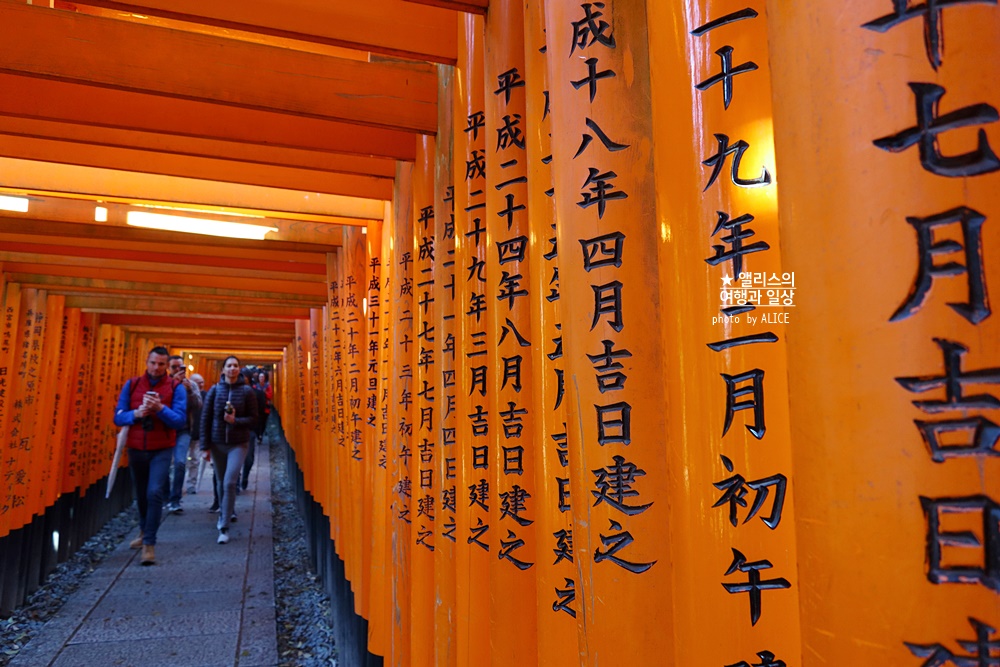 일본 여행, 교토 버스투어 현대카드 × kkday 일본여행 30% 할인