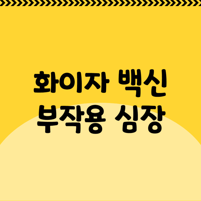 화이자 백신 부작용 심장