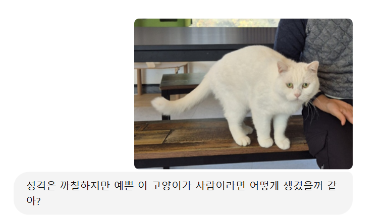 반려동물이 사람으로