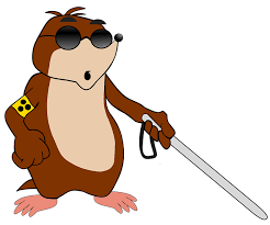 장애인 활동지원사