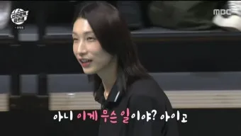 2025 2026 시즌 흥국생명 배구단 선수 명단 및 연봉 계약 FA 외국인 선수 정보 로스터 분석_18