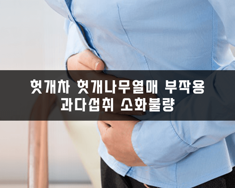 헛개차 헛개나무열매 부작용 - 과다섭취로 인한 소화불량