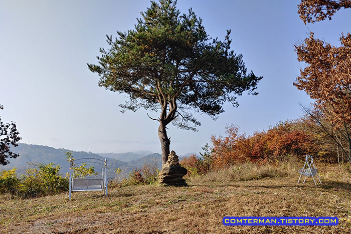금산 만악리 수목원 정상