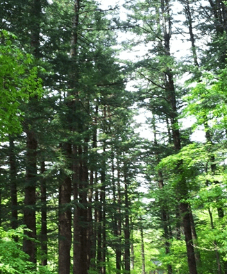 가을 바다 열차 여행 추천