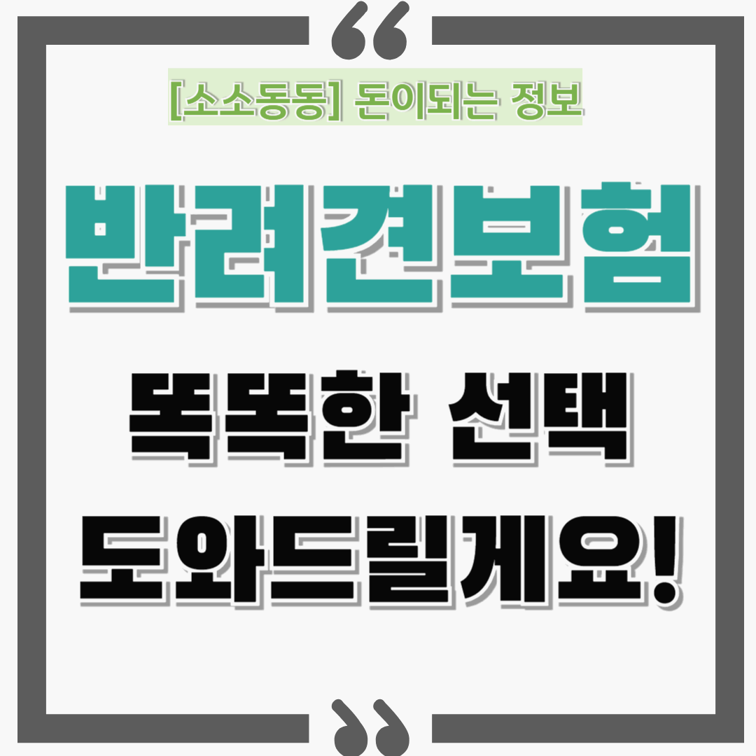 반려견 보험 비교! 내 반려견을 위한 똑똑한 선택