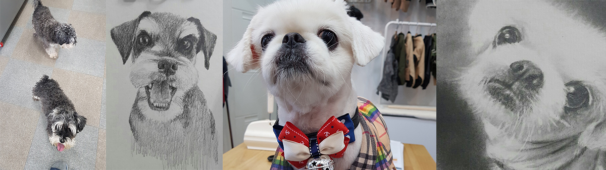 집에서 키우는 슈나우져와 페키니즈