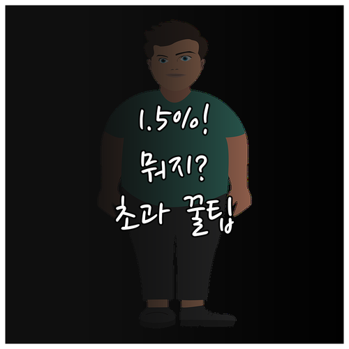 심천항공 수하물 초과 요금, 국내선 ..