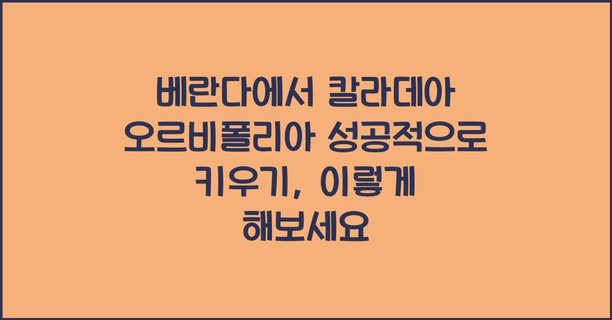 베란다에서 칼라데아 오르비폴리아 성공적으로 키우기