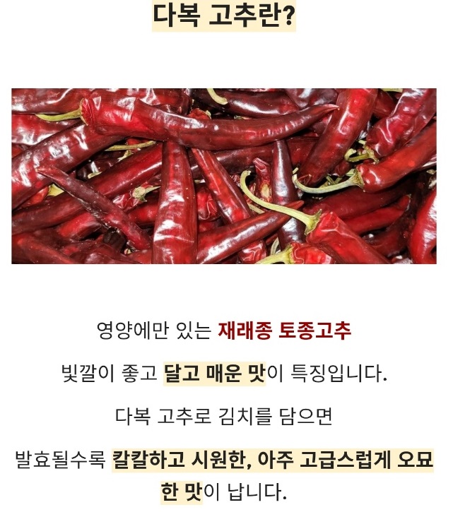 생생정보-영양-고추-삼막골농장-건고추-주문-연락처