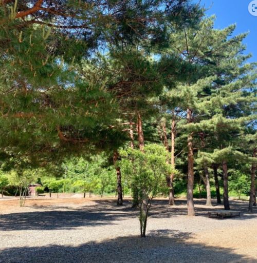 캠핑장-사이트전경