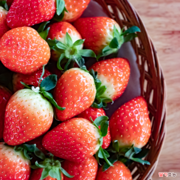 딸기 효능