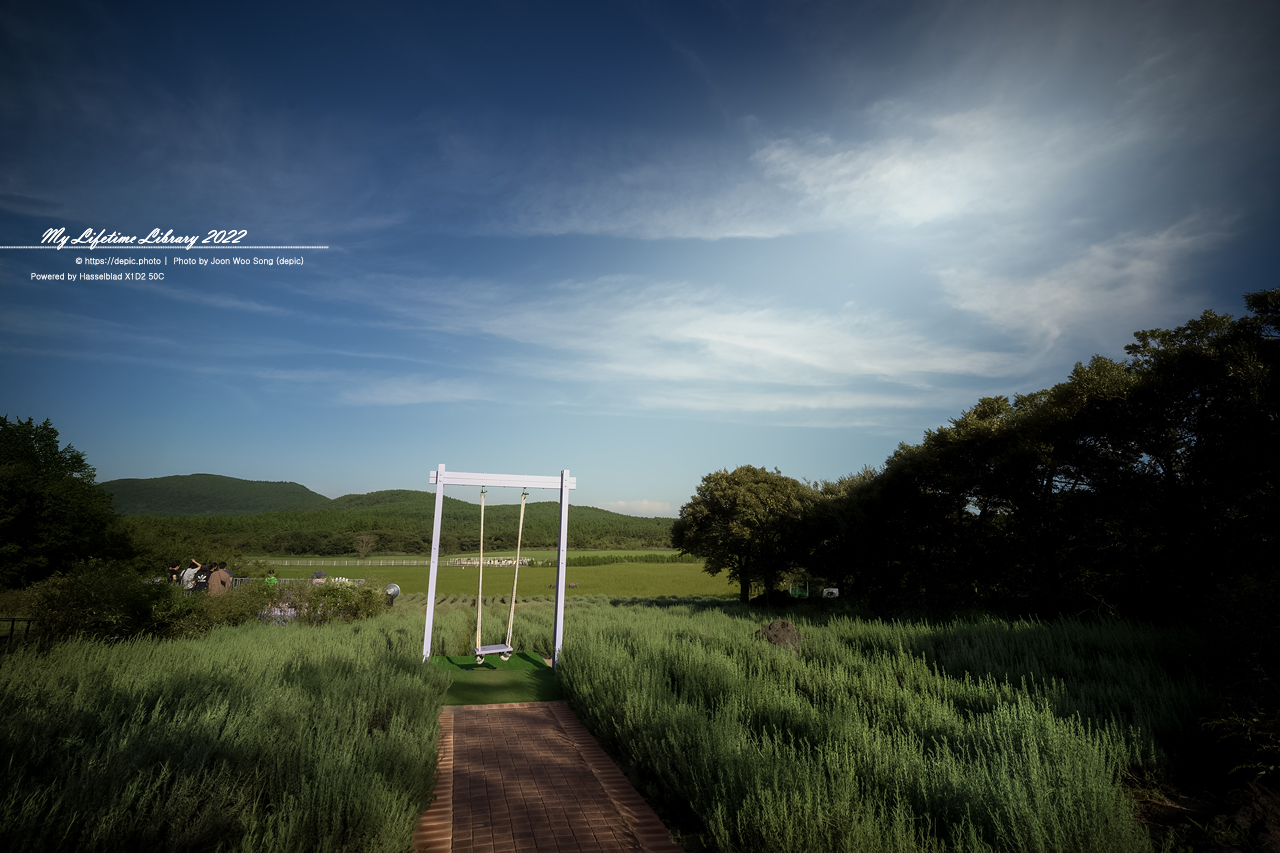 #제주 #에코랜드 #연못 #호수 #기차 #2022제주여행