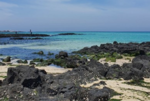 2024년 제주도 해수욕장 BEST 12