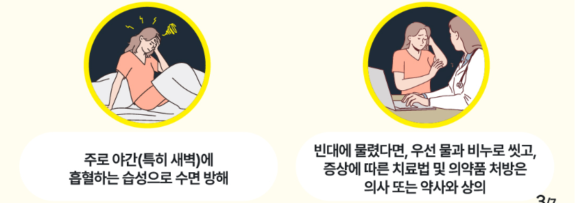 빈대-물린-증상-이미지