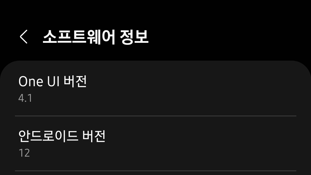 갤럭시s10 5g 소프트 웨어 정보