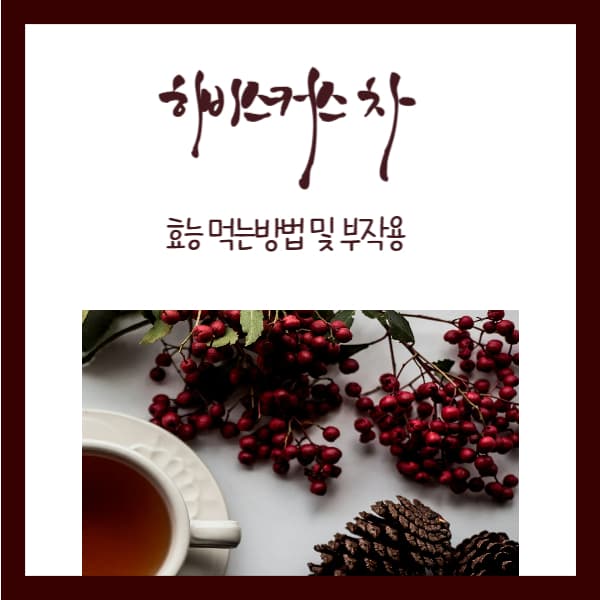 히비스커스차-효능