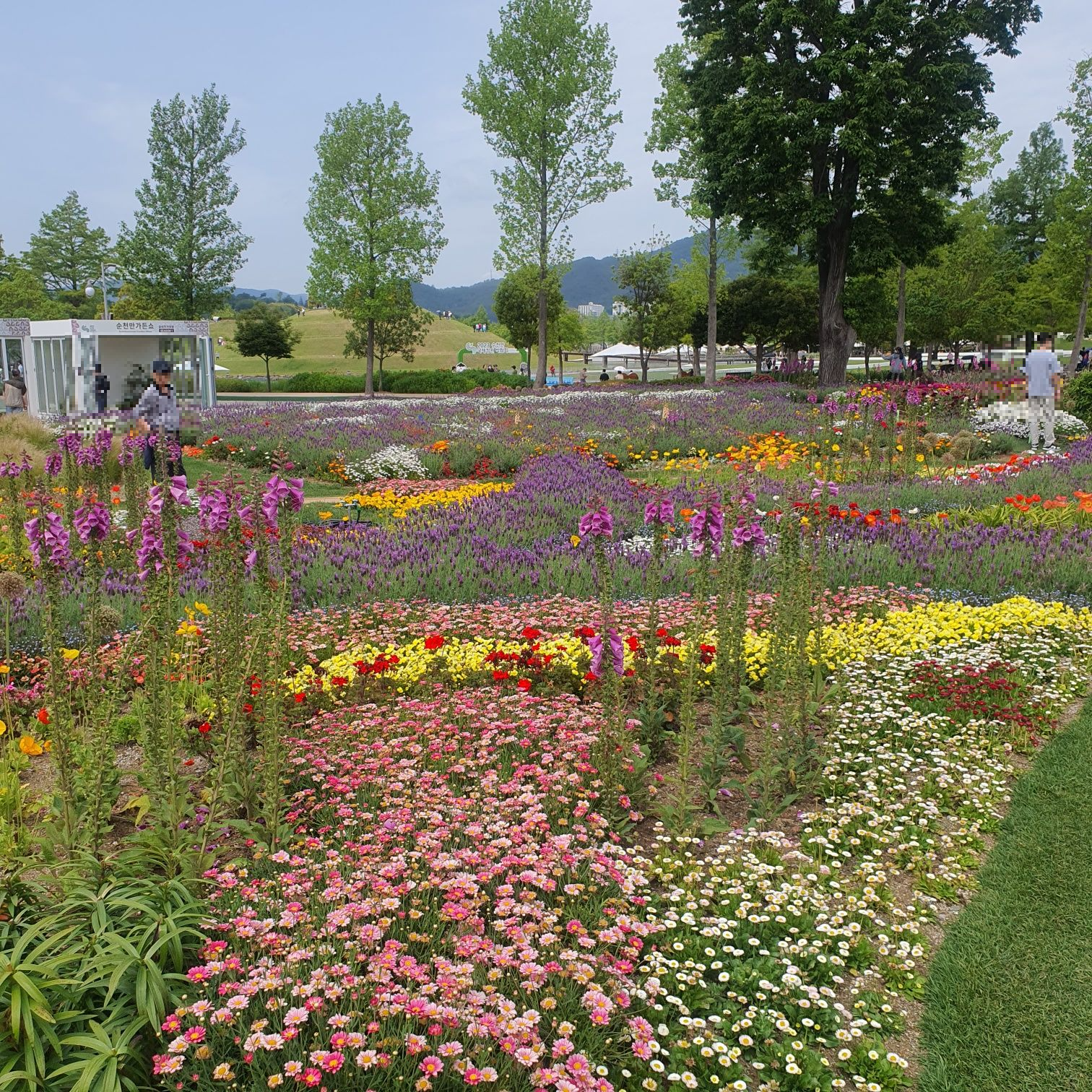 순천만 워케이션 신청