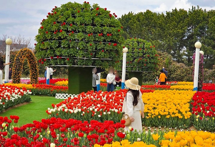 태안 세계튤립공원