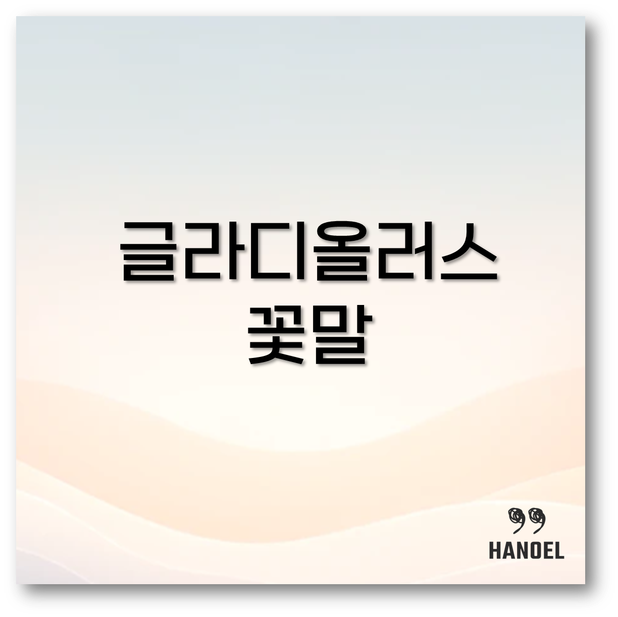 글라디올러스