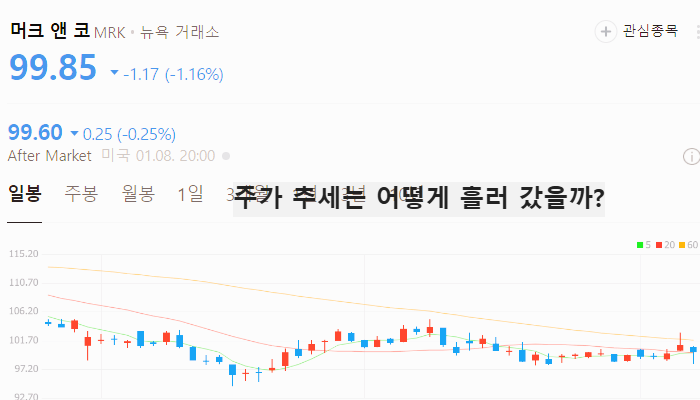 미국 제약바이오 관련주 대장주 테마주 TOP5