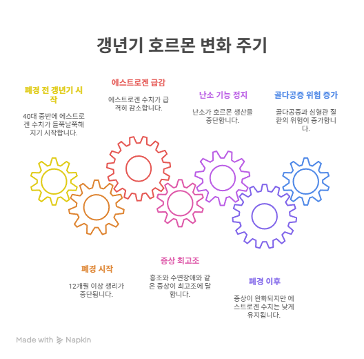 갱년기 호르몬 변화 주기