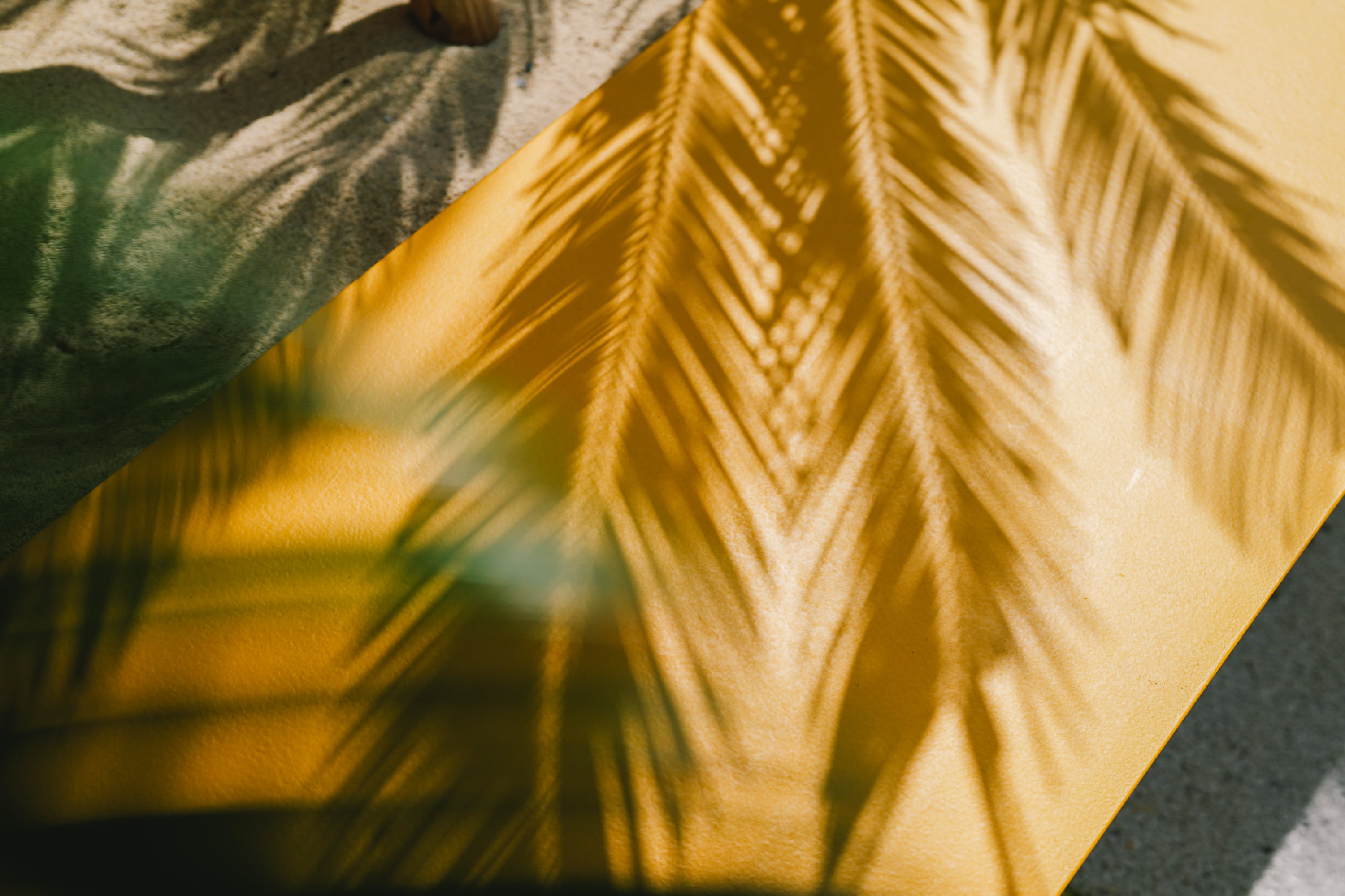 엄지사진관 제주 포토에세이