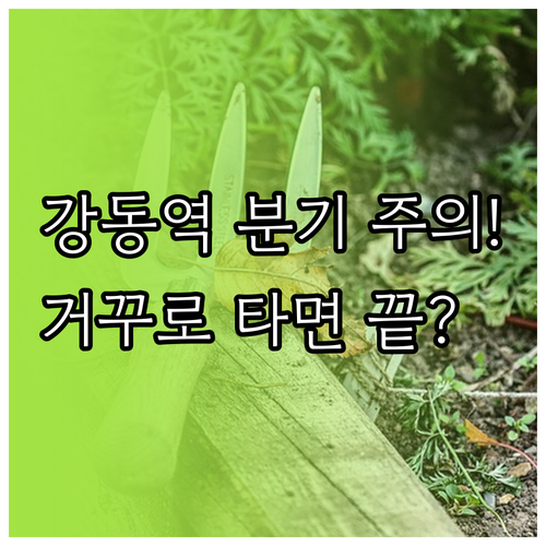 5호선 강동역 분기점 주의사항과 열차..