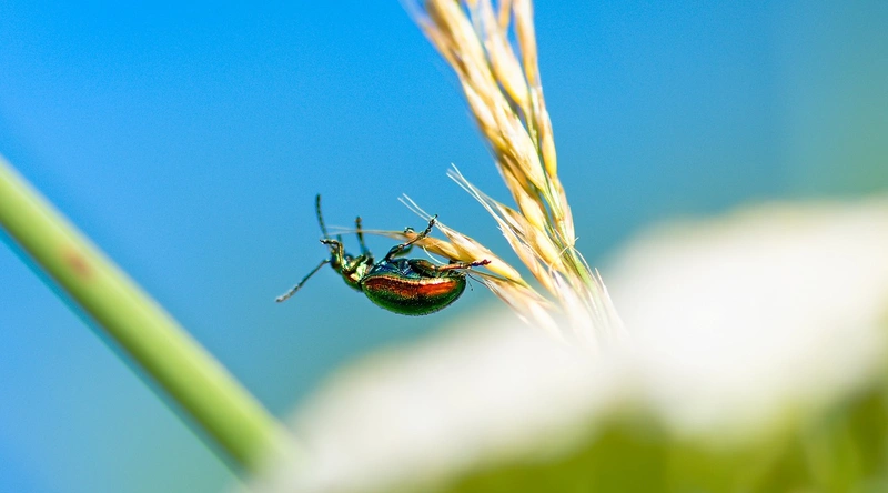 공장 환기설비의 필요성