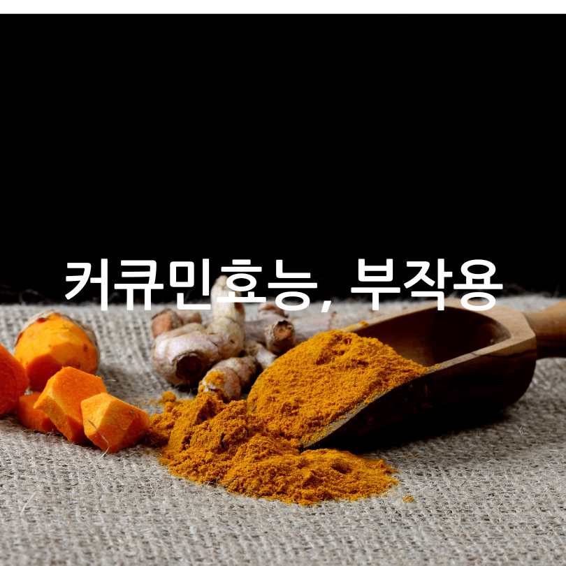 커큐민 효능 부작용